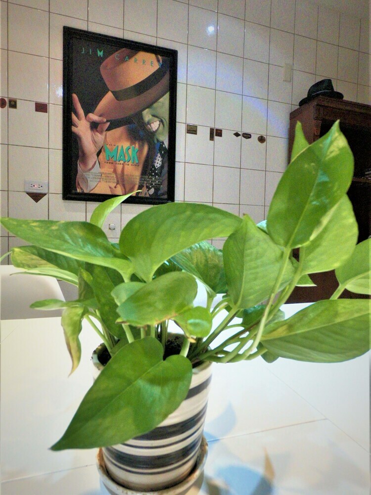 Hotel Cushare Tainan B&B