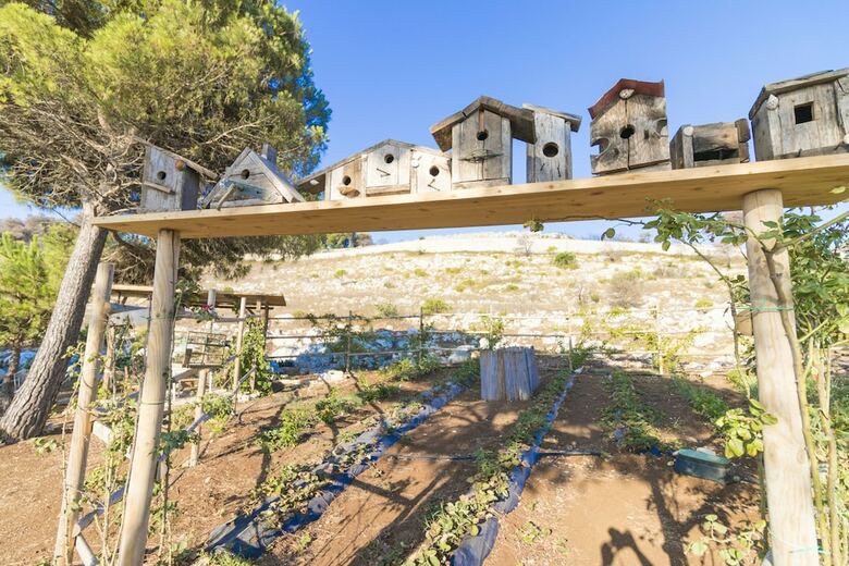 Hotel Le Capase Resort