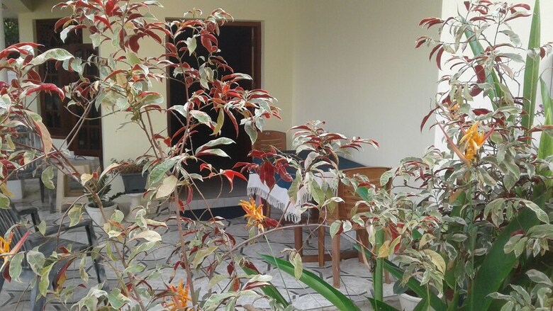 Bed & Breakfast Villa Rodrigo