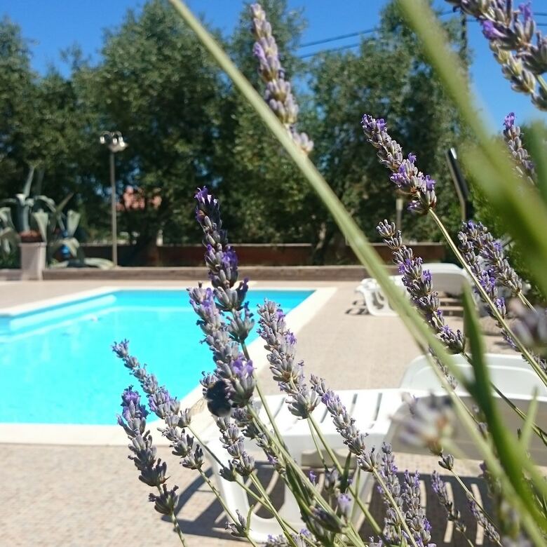 Hotel Villa Stari Dvor