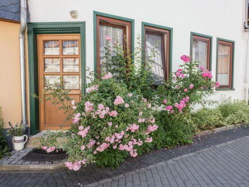 Apartamento Saskia