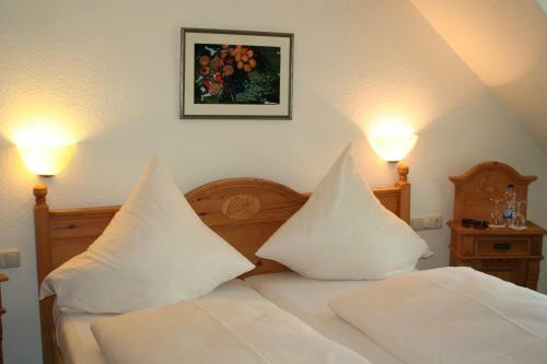 Hostal Hotel Hieronimi