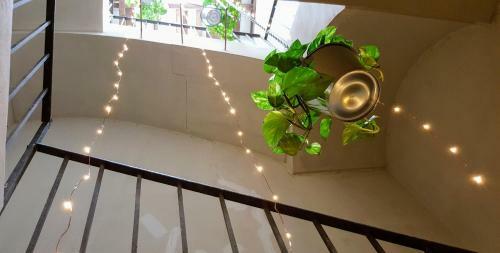 Apartamentos El Jardinet De Sant Esteve