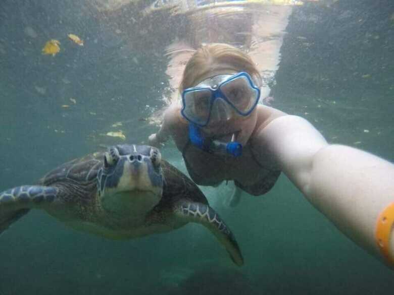 Bed & Breakfast Baraka Aquarium Bungalows