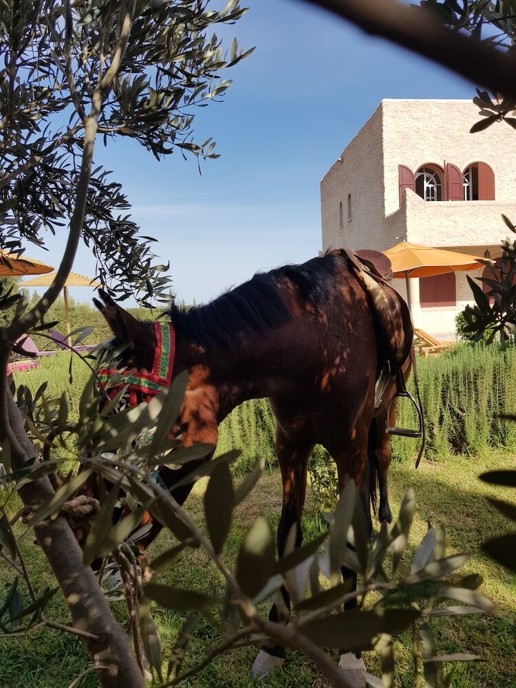 Villa Al-jaouhara