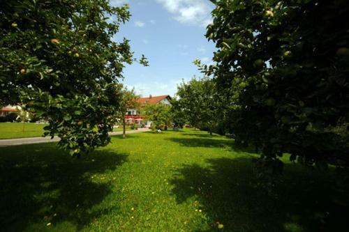 Hostal Pension Riedlhof