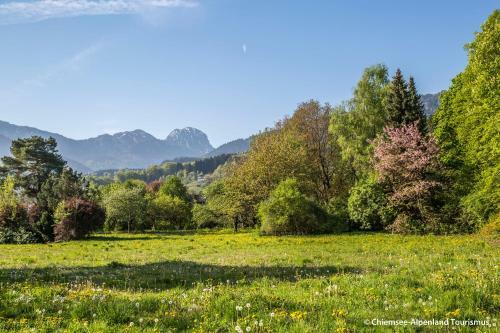 Hostal Land Wirtschaft H��