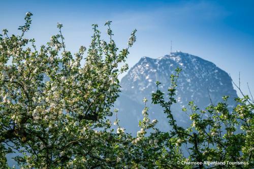 Hostal Land Wirtschaft H��