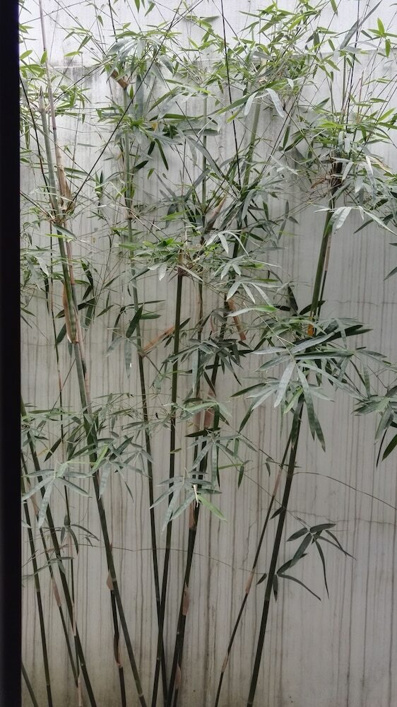 Hotel Wanshun Guest House