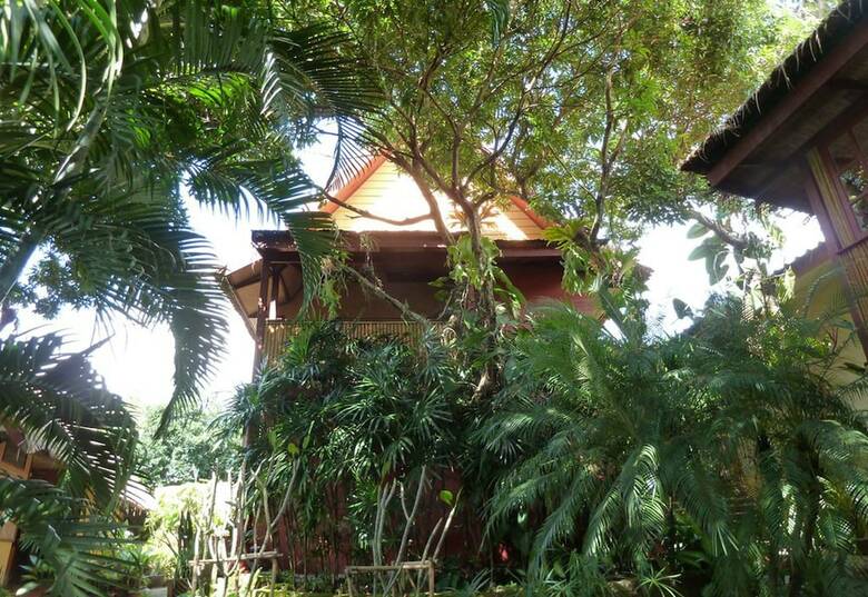 Hotel The Old Tree House