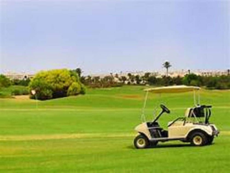 Hotel H�tel Les Palmes D'or