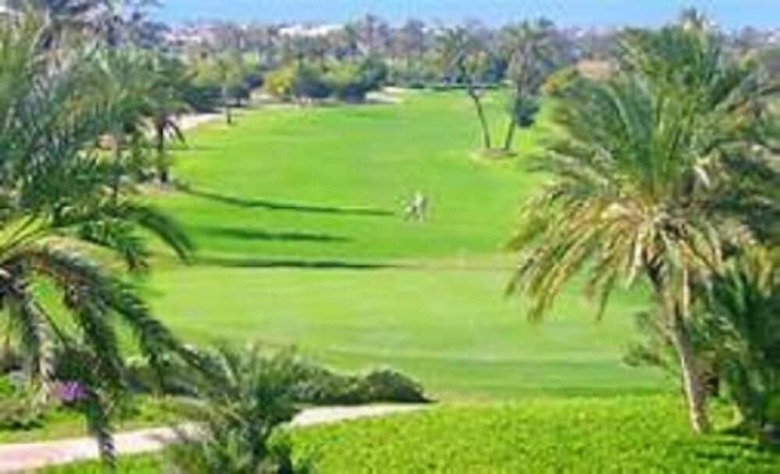 Hotel H�tel Les Palmes D'or