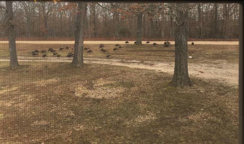 Big Country Bed And Breakfast
