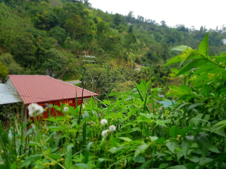 Hotel Ella River House