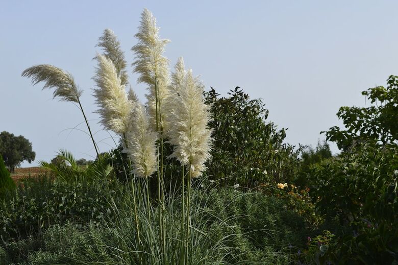 B&B Villa Lavanda