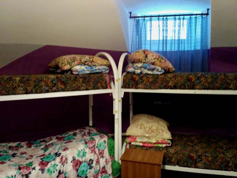 Hostal Jungle - Hostel