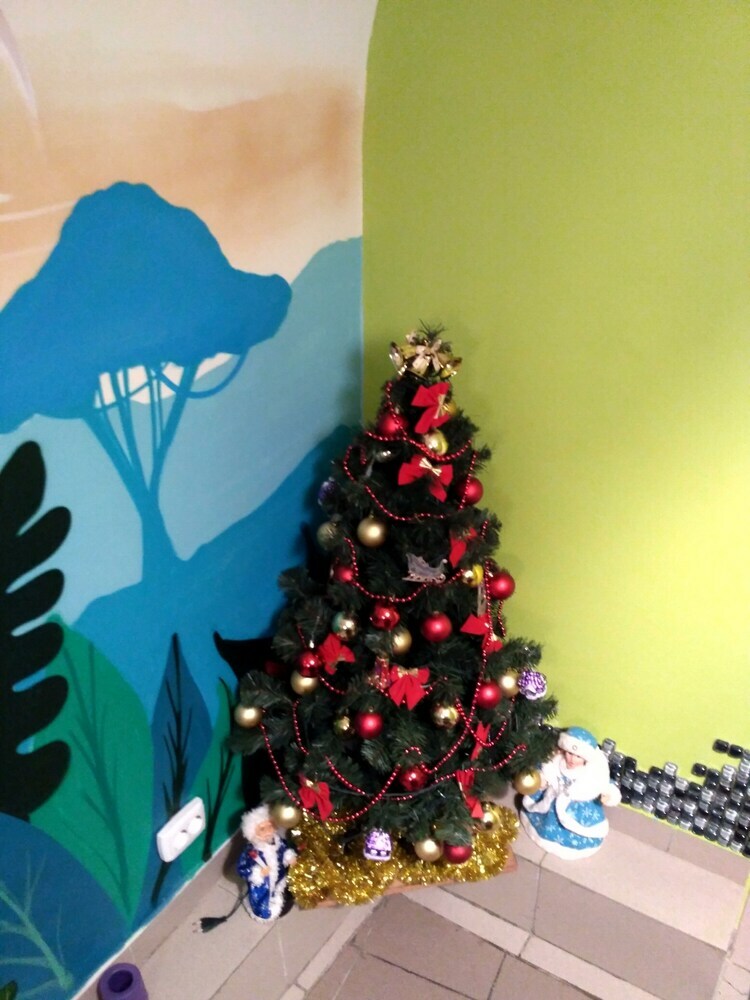 Hostal Jungle - Hostel