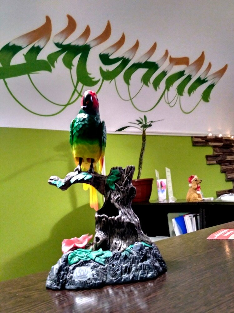 Hostal Jungle - Hostel