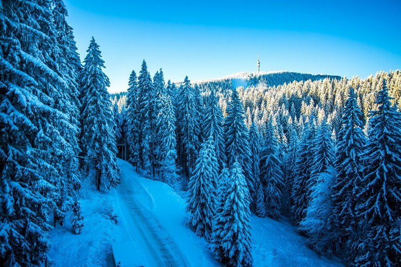 Hotel Sunny Hills Ski