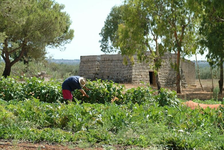Agroturismo Biomasseria Santa Lucia
