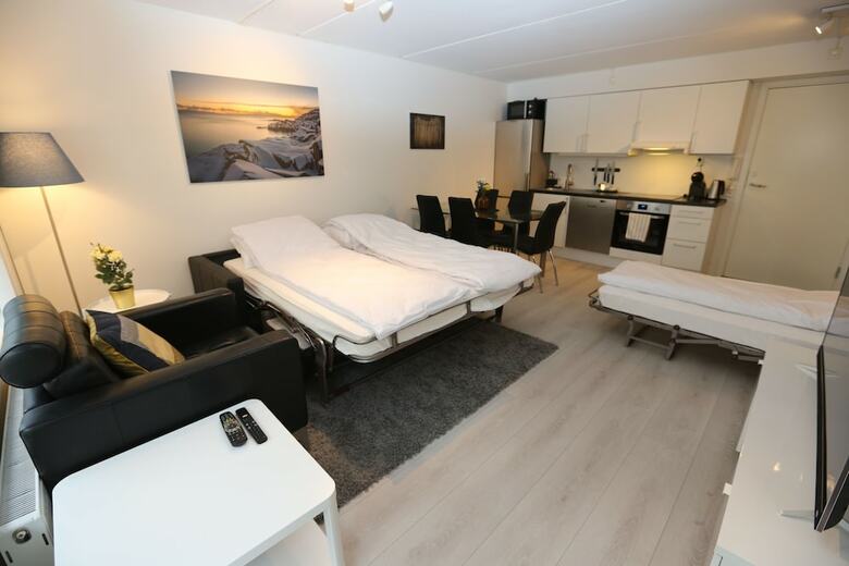 Apartamentos Sonderland Apt. - Mandalls Gate 12