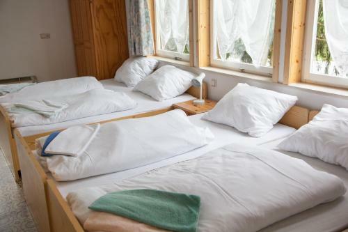 Hostal Pension Waldoase Hirschbuchenkopf