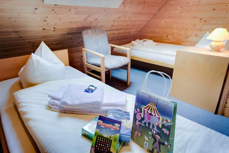 Center Hotel Zwickau-mosel