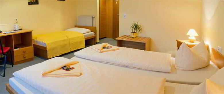 Center Hotel Zwickau-mosel