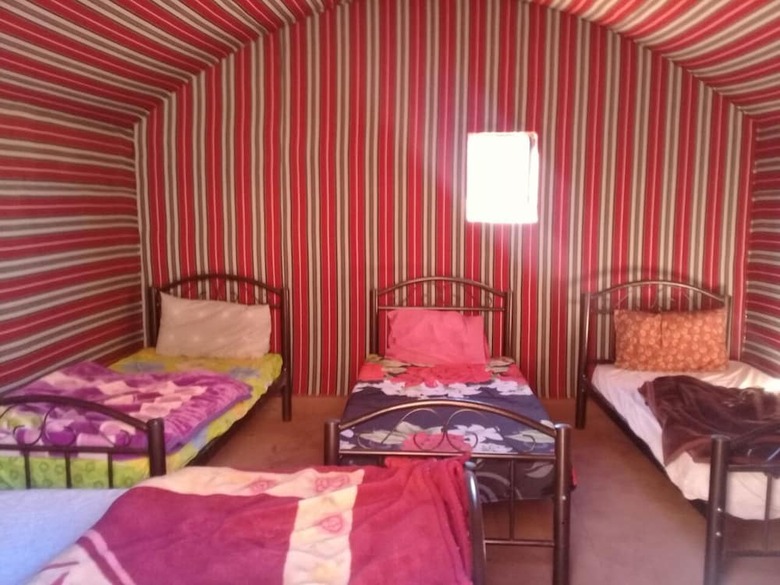 Wildlife Camp