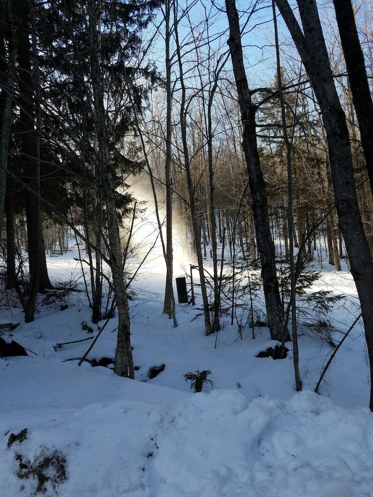 Ski In & Out Spruce Glen Townhomes On Great Eastern Trail
