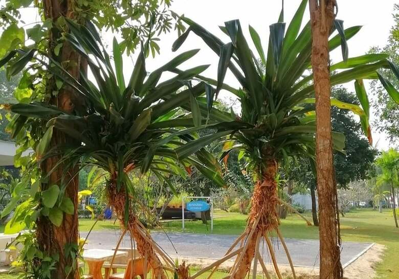 Hotel The Princess Beach Resort