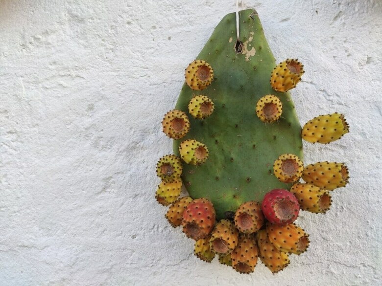 Agroturismo Masseria Costarella