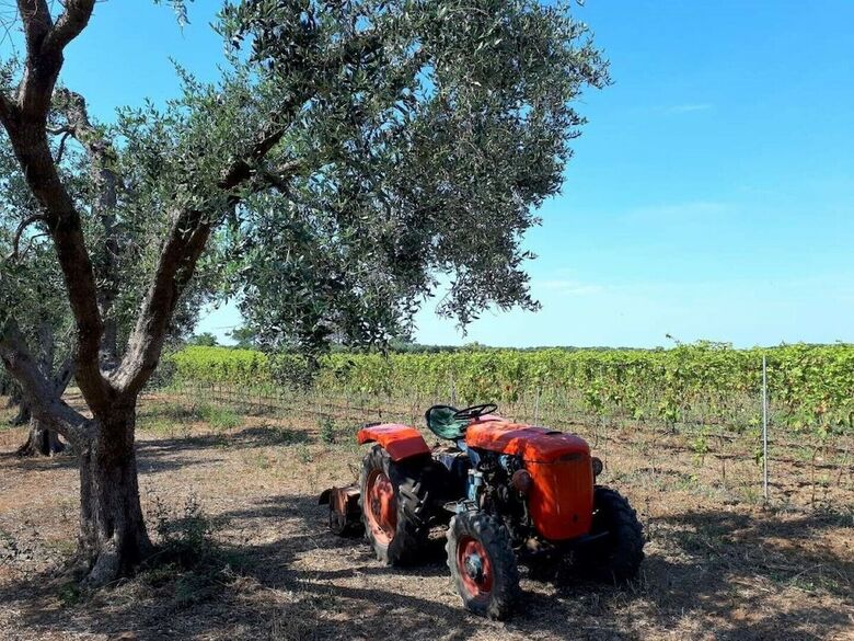 Agroturismo Masseria Costarella
