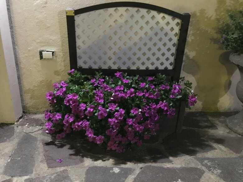 Apartamento Villa Caterina