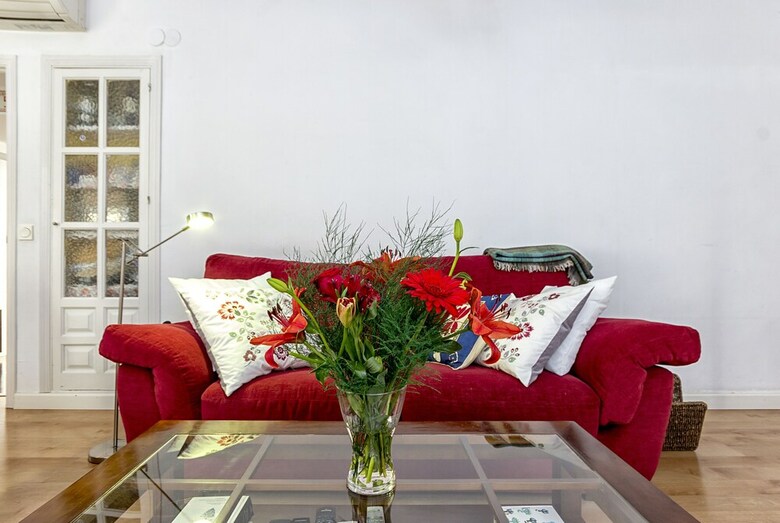 Apartamentos Solaga Lion