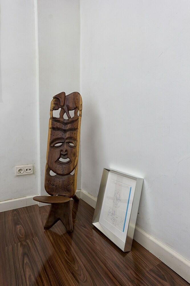 Apartamentos Solaga Lion