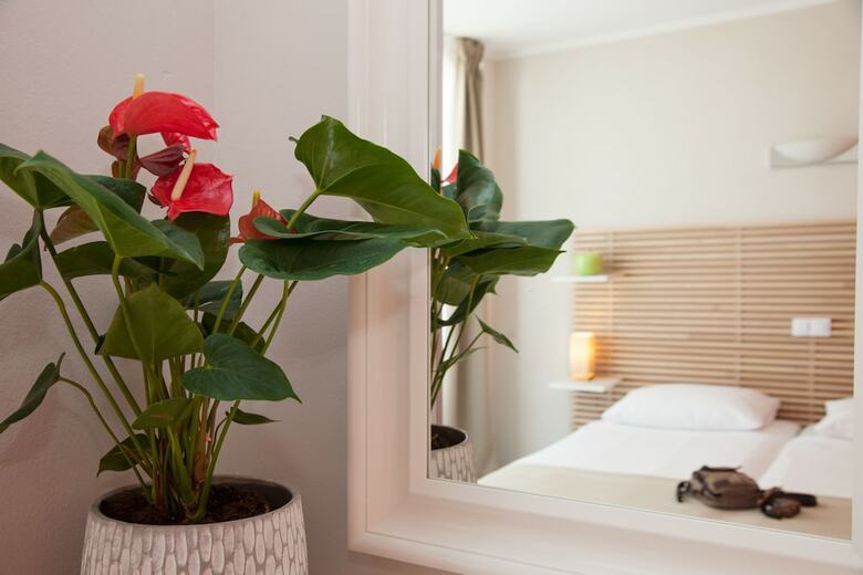 Aparthotel Orange Colom