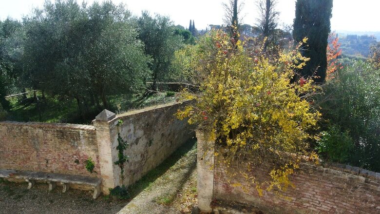 Hotel Villa Pippo Relais