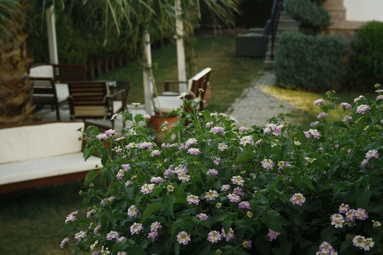 Bed & Breakfast Cunda Vrodi Hotel