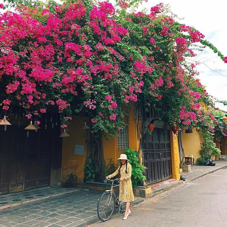 Hotel De Campagne Villa Hoi An