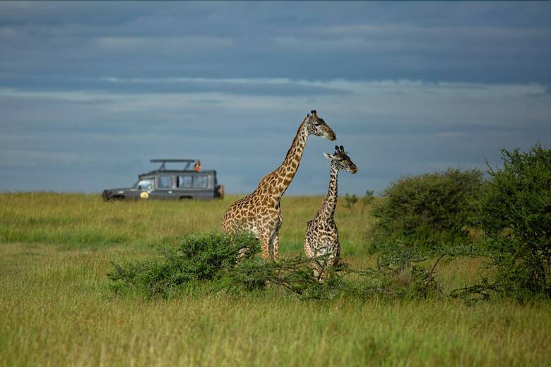 Pumzika Luxury Safari Camp