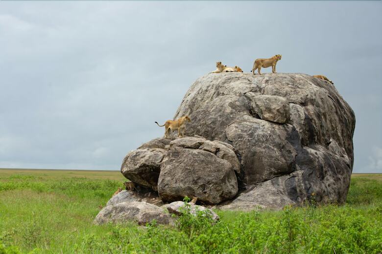 Pumzika Luxury Safari Camp