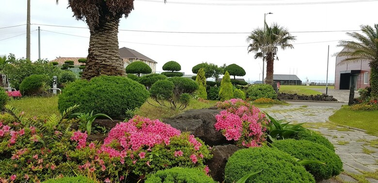 Jeju Again Olle Pension