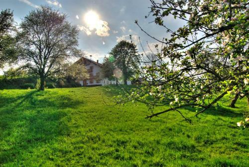 Apartamento Bio Ferienhof Heiler