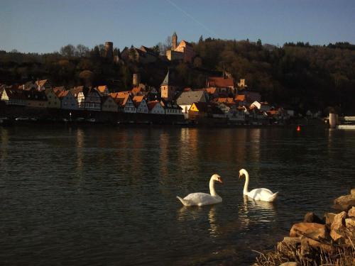 Apartamentos Romantisches Hirschhorn Am Neckar
