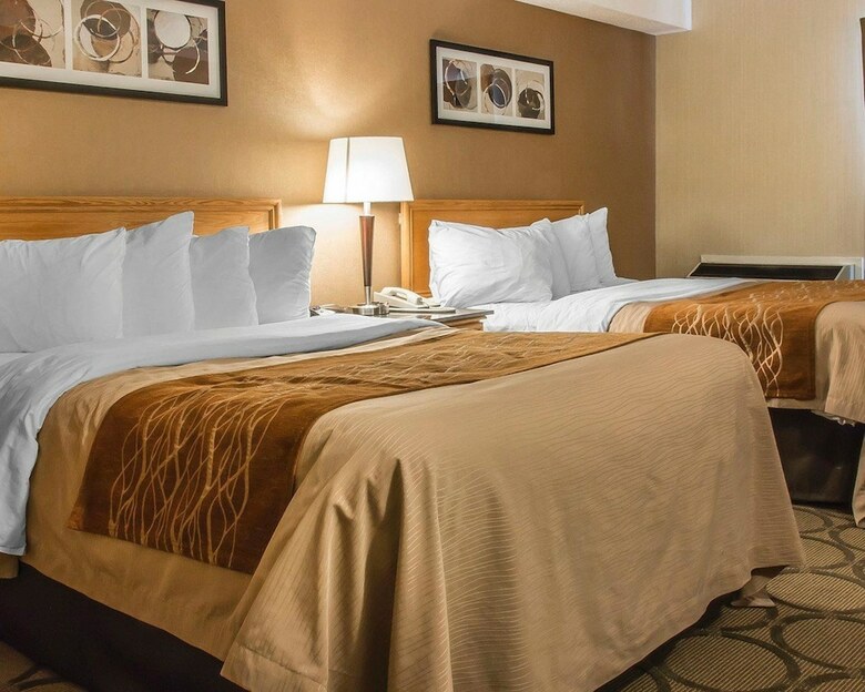 Hotel Comfort Inn Dryden