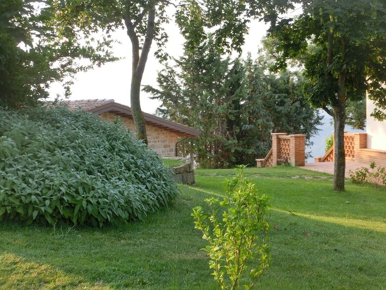 Agroturismo Agriturismo Il Beccafico Alpaca