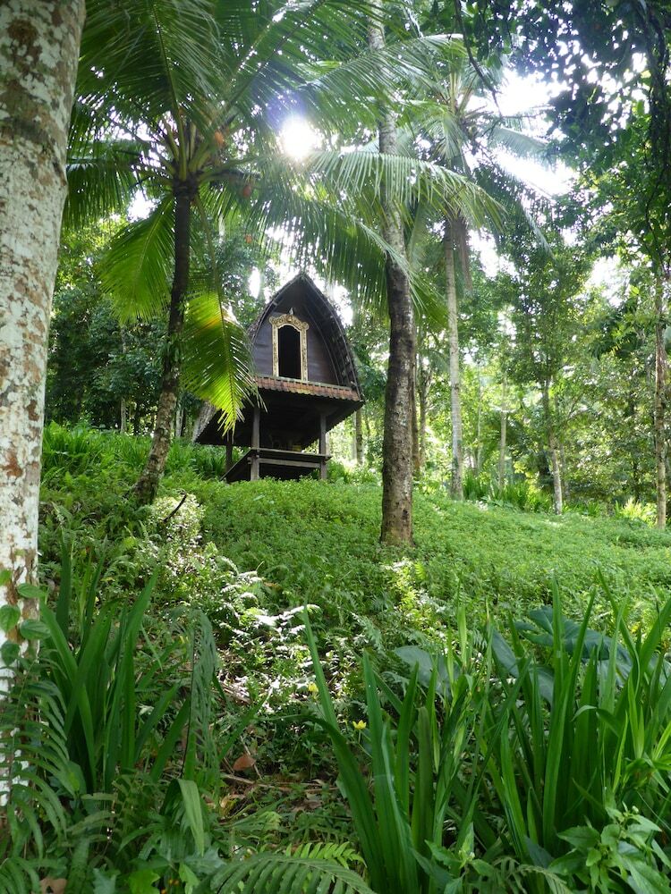 Bed & Breakfast Clove Tree Hill