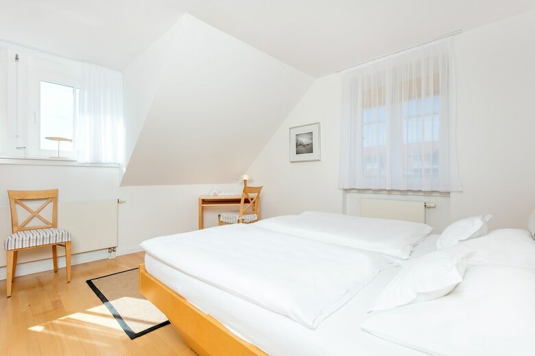 Hotel Der Wilde Schwan