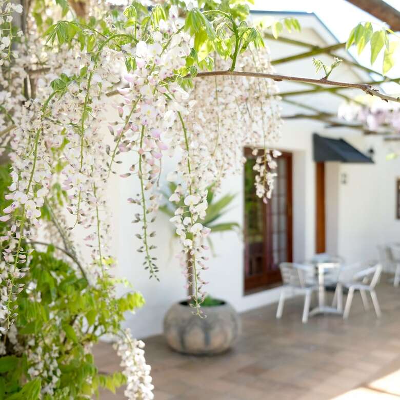 Houw Hoek Hotel